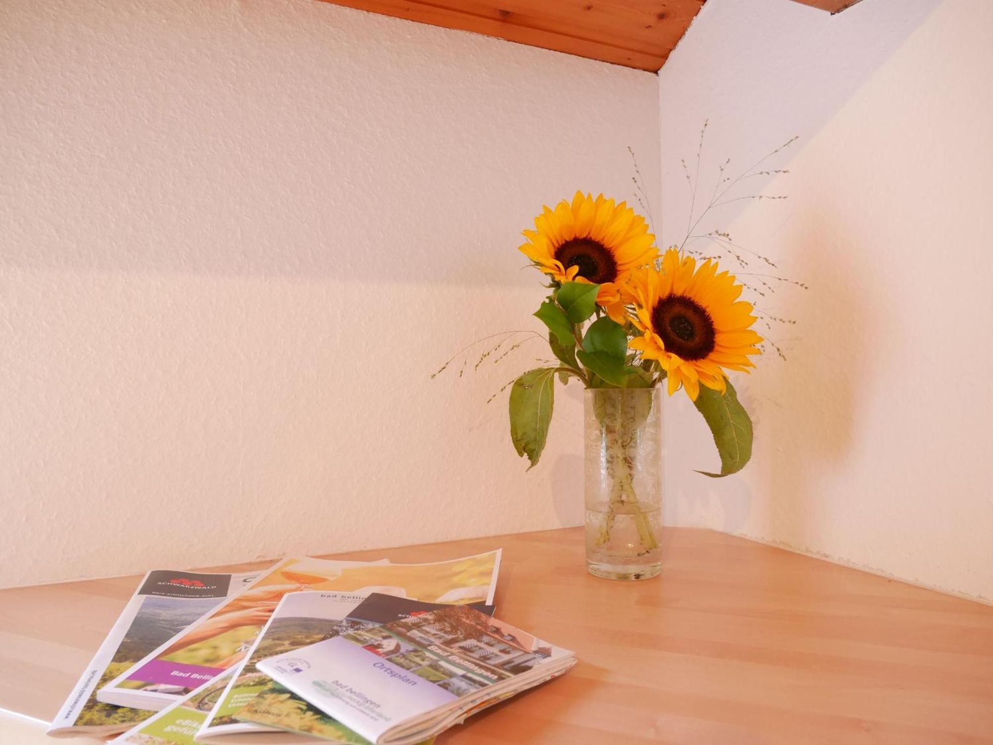 Gaestehaus Gaby Bad Bellingen Ngoại thất bức ảnh